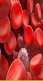 Thalassemia Spectrum and Prenatal Diagnosis among Voluntary Couples in Shushtar City, during a Five Year Period